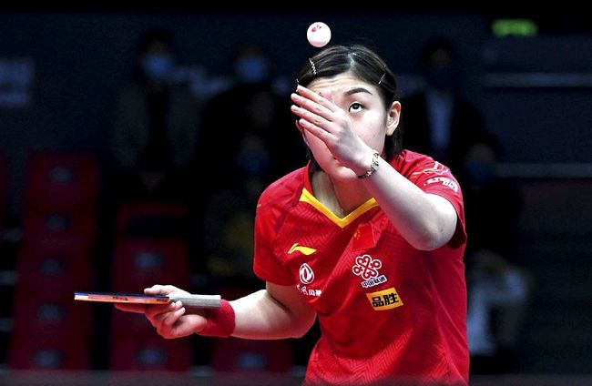 他们指出 他们指出